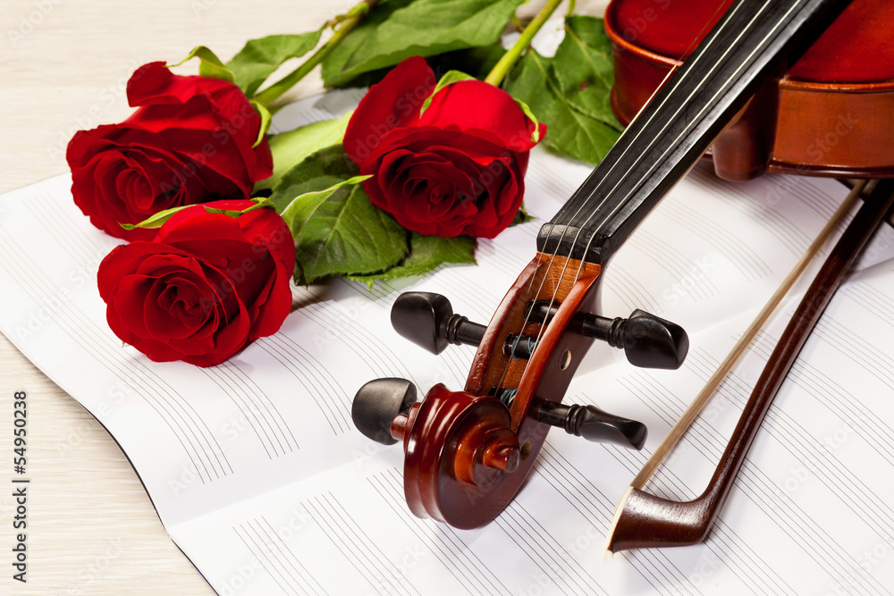 Fototapeta premium Red roses and a violin