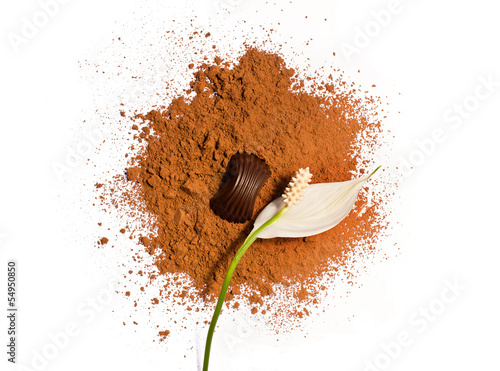 flower and candy on a cocoa powder