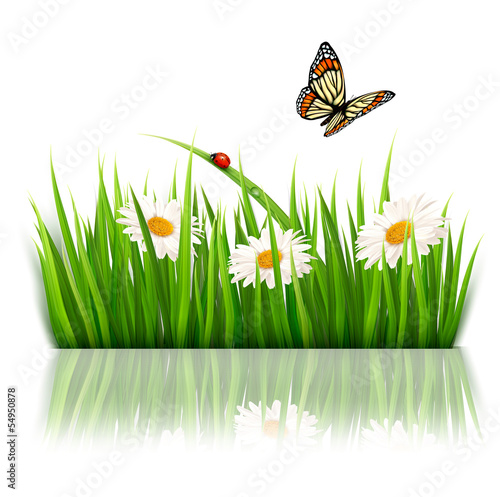 Fototapeta Naklejka Na Ścianę i Meble -  Nature background with green grass and flowers Vector.
