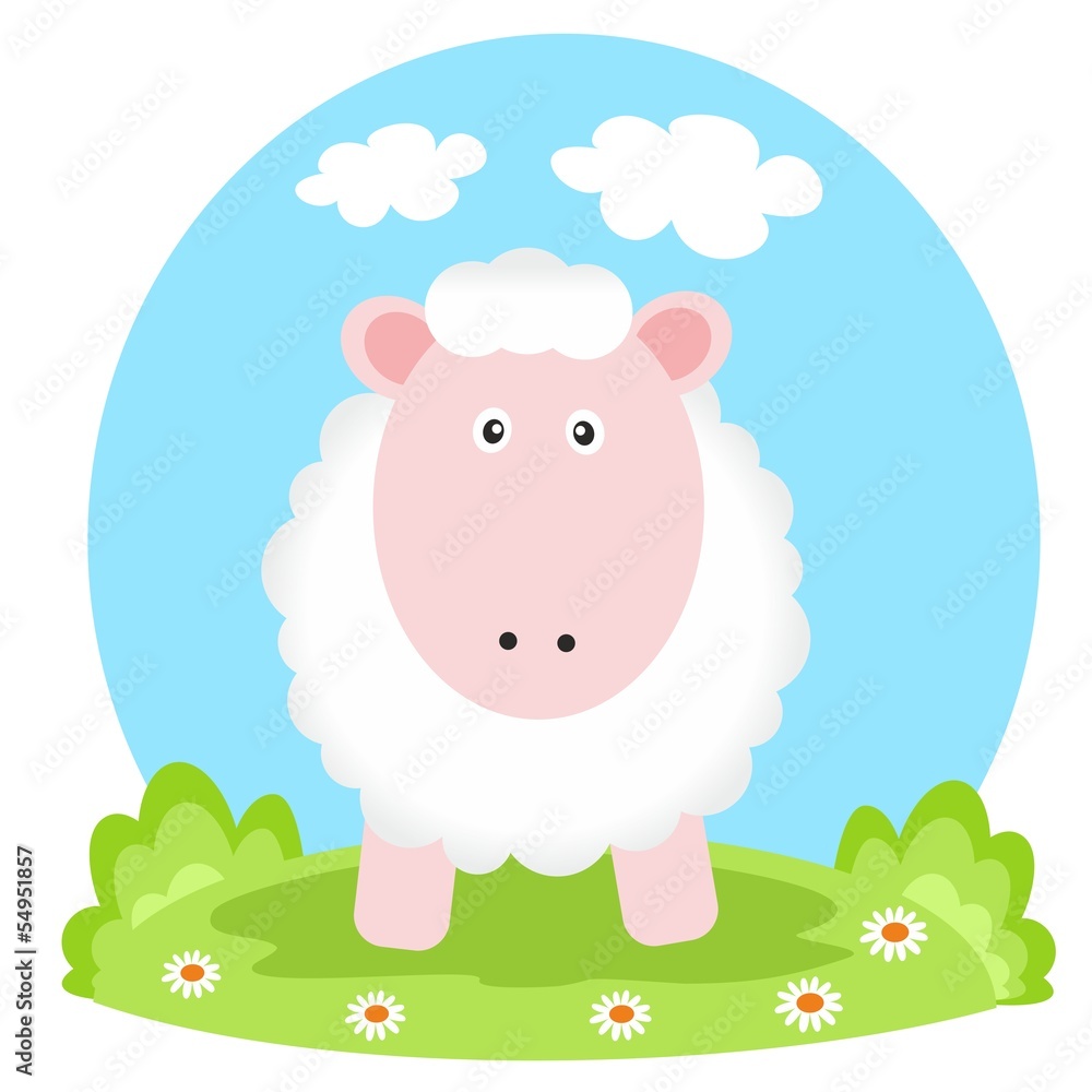 Obraz premium lovely lamb on glade