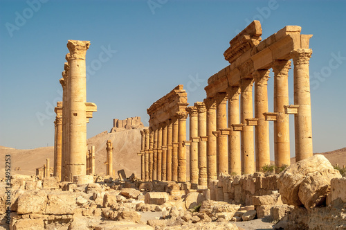 Palmyra Temple Ruins photo