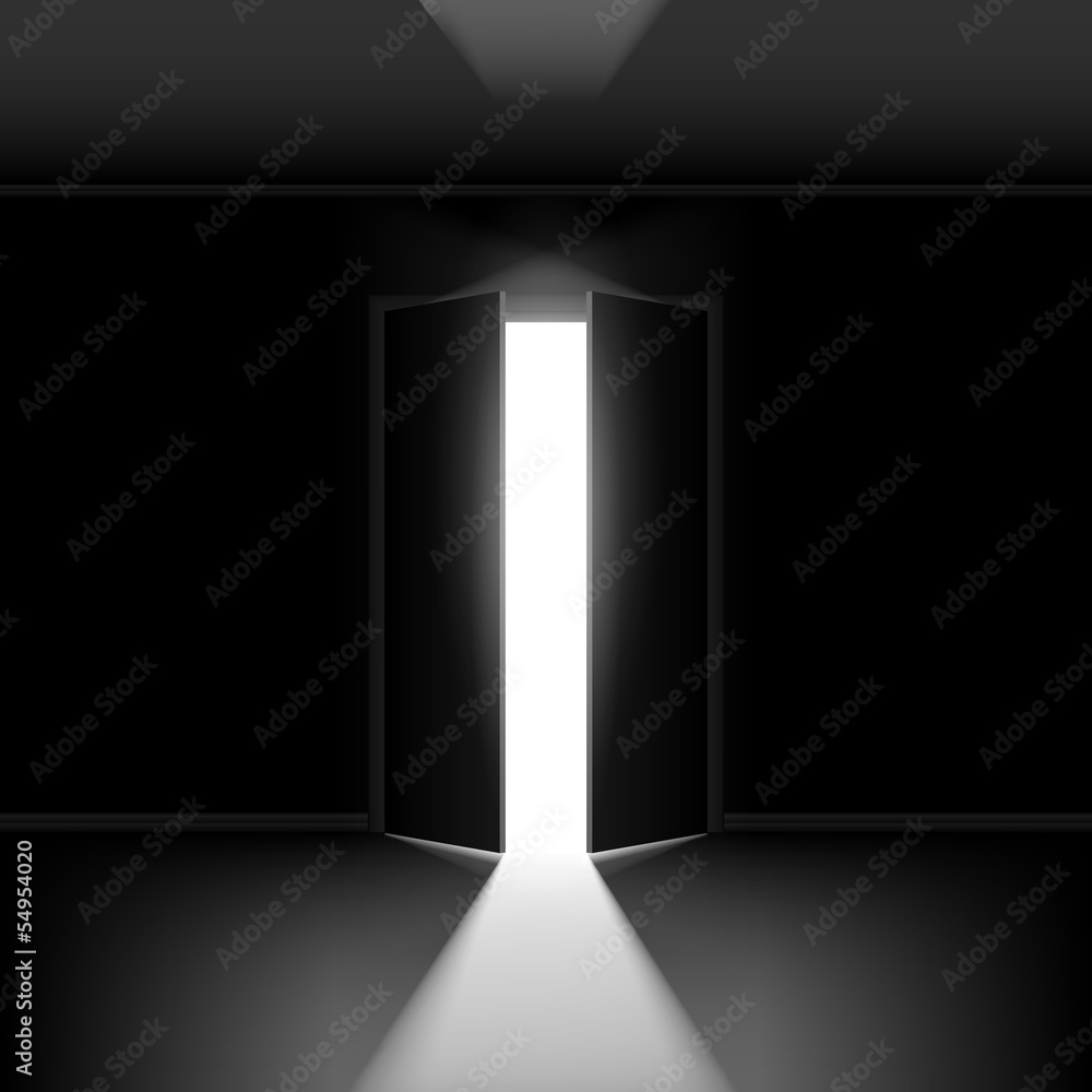 Double open door Double open door