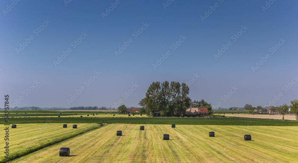 Hay bales wrapped in black plastic in a field