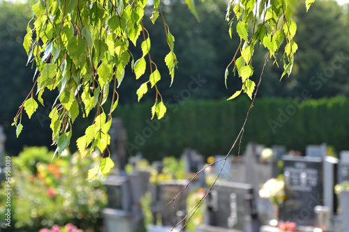 Cemetery scene