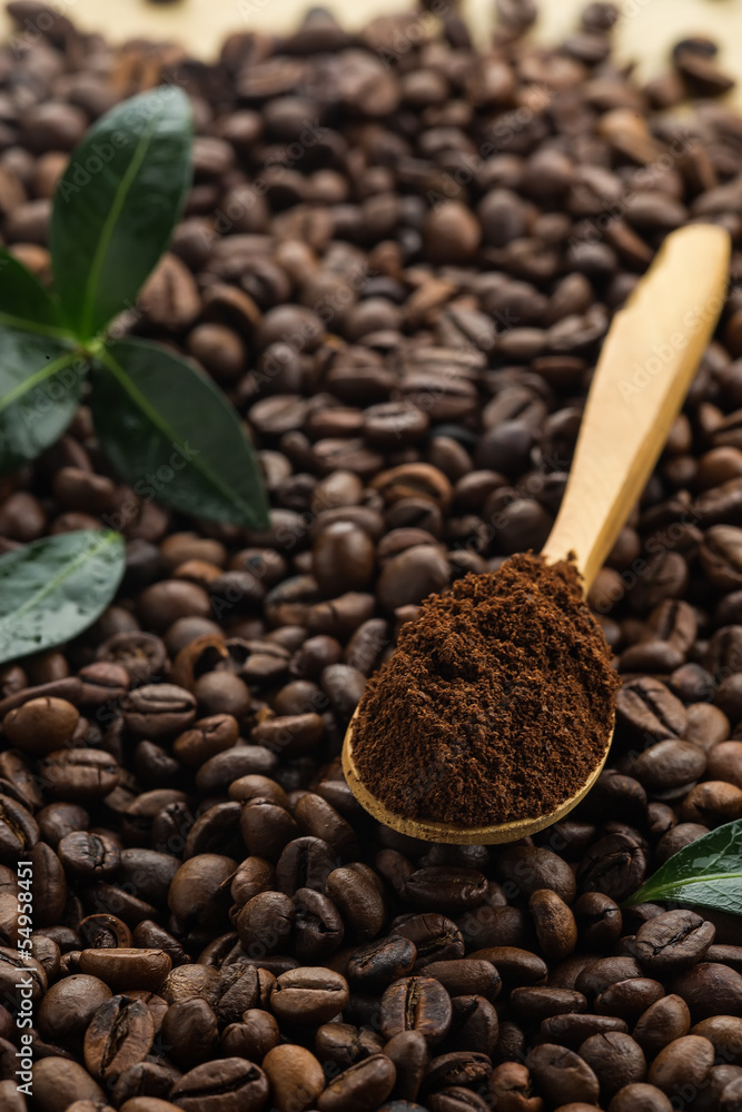 Fototapeta premium Coffee beans