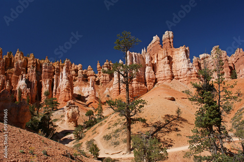 Hoodoos in Bryce Canyon National Park