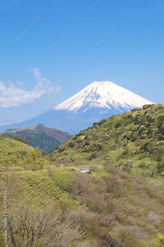 Mountain Fuji in spring