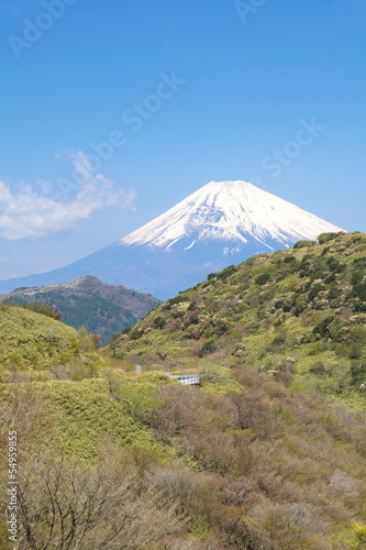Mountain Fuji in spring