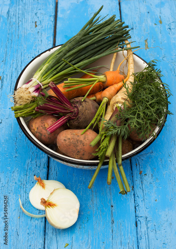 root vegetables photo