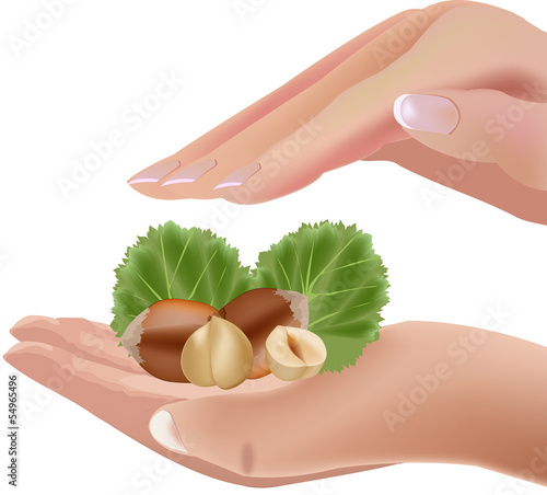 nocciola