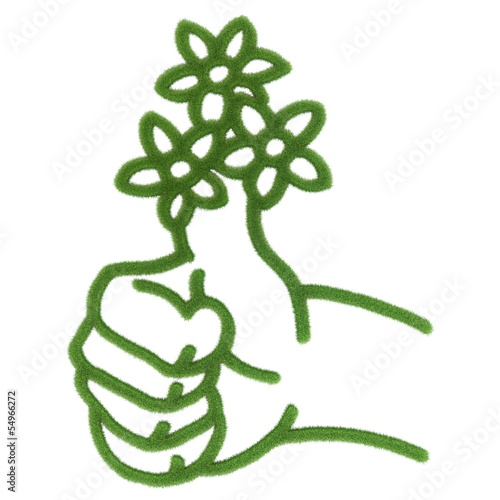 Fototapeta Naklejka Na Ścianę i Meble -  grünen Daumen bei Pflanzen haben