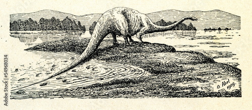 Foto Diplodocus carnegii by Othenio Abel