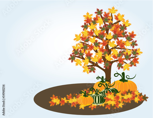 Herbstzeit