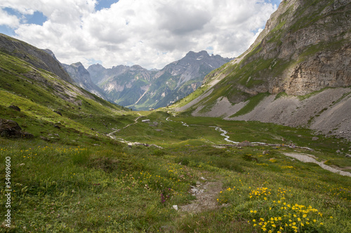 Alpage vers le col de la vanoise