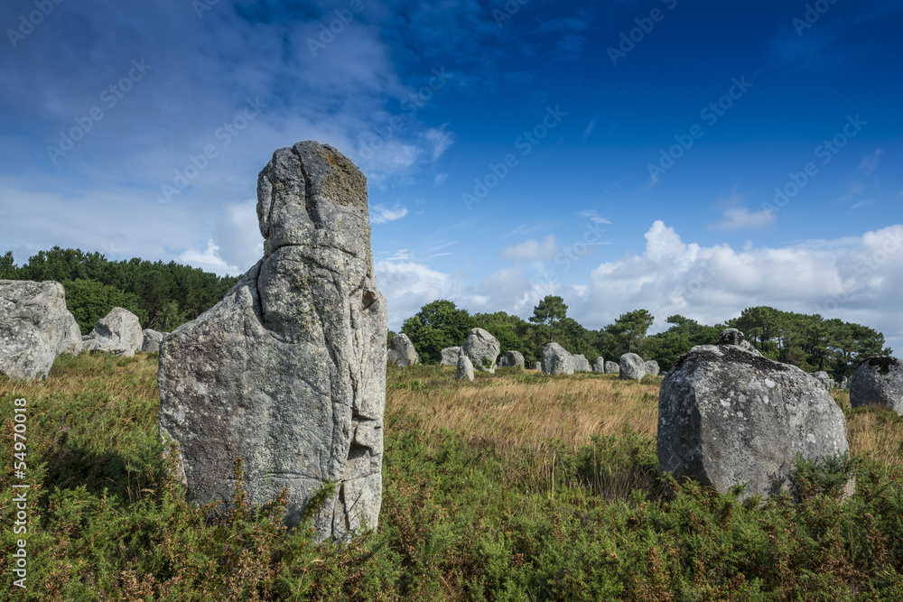neolitic megaliths - Carnac in Brittany, France