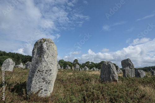 megaliths - menhirs - Carnac in Brittany, France