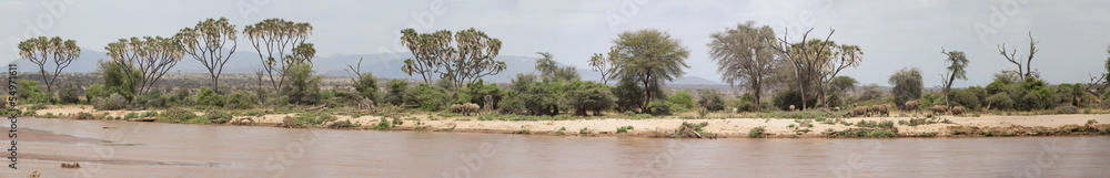 Panoramic view of Samburu National Park in Kenya Panoramic view of Samburu National Park in Kenya