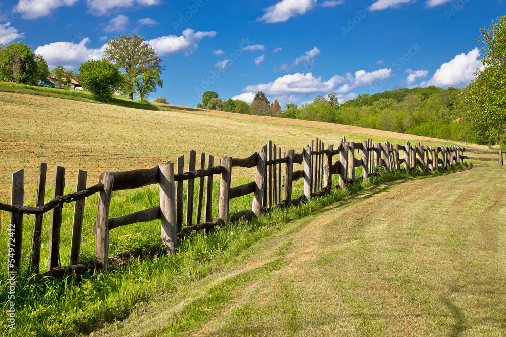 Wooden fence in green landscape
