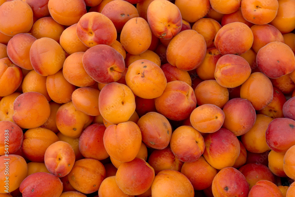 Apricots Apricots
