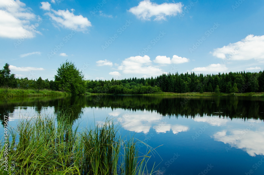 Calm lake and forest with water reflextions summer landscape