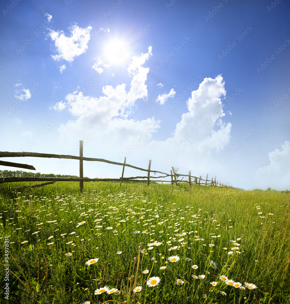 Obraz premium landscape