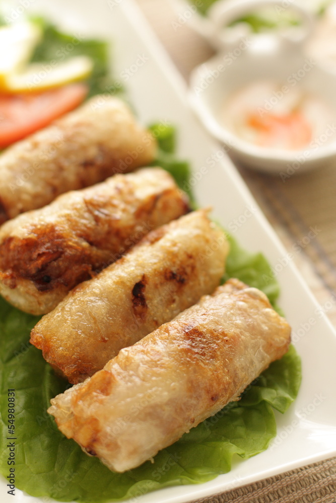 vietnamese food, gourmet spring roll