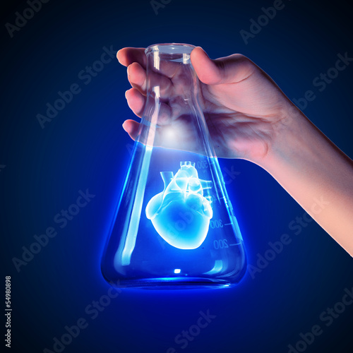 Human heart in test tube