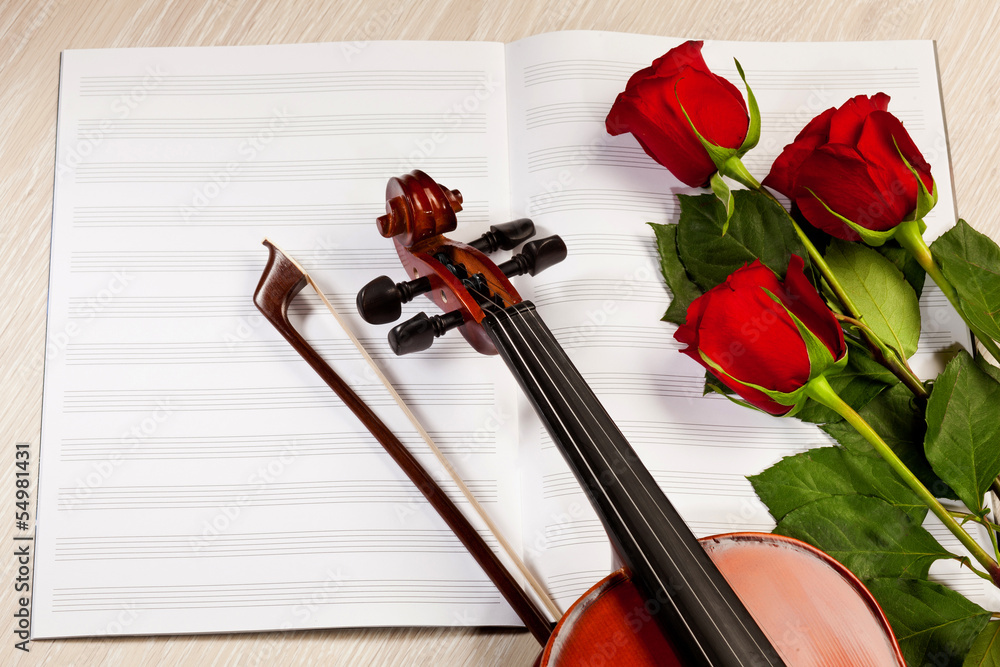 Fototapeta premium Red roses and a violin