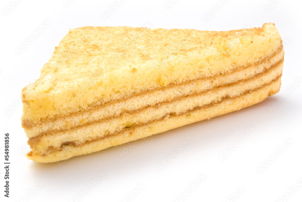 homemade sandwich shape sponge cage on white homemade sandwich shape sponge cage on white