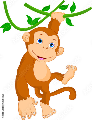 cute monkey hanging