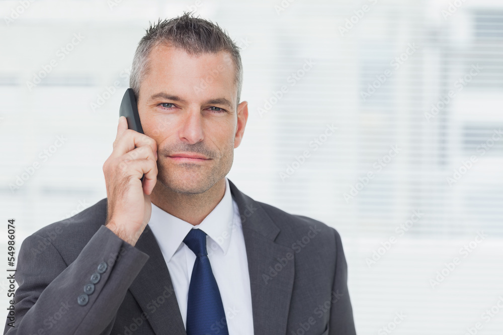Businessman looking at camera while having a phone call Businessman looking at camera while having a phone call
