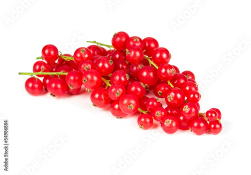 Sprig of red currant