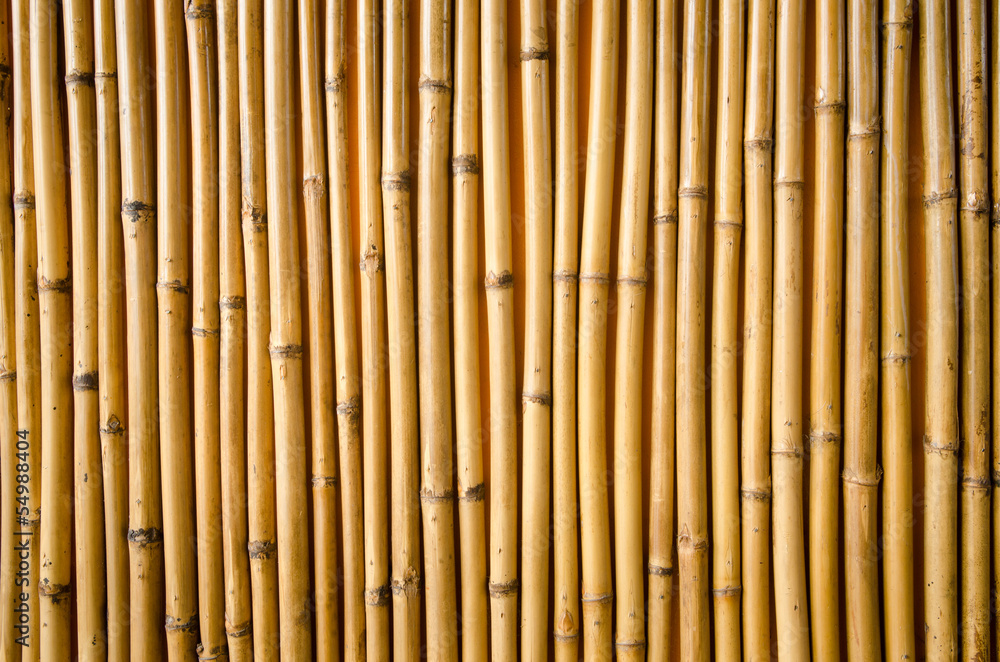 bamboo fence bamboo fence