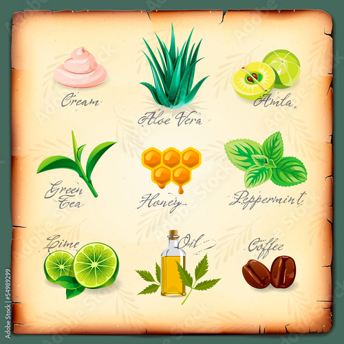 Set of natural cosmetics ingredients, vector Eps10 image.