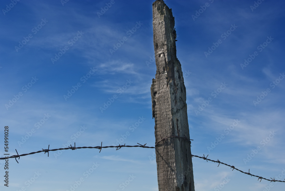Barbed wire fence Barbed wire fence