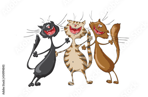 Three happy cats on isolated white background