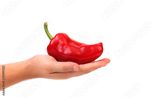 Hand holds red pepper.