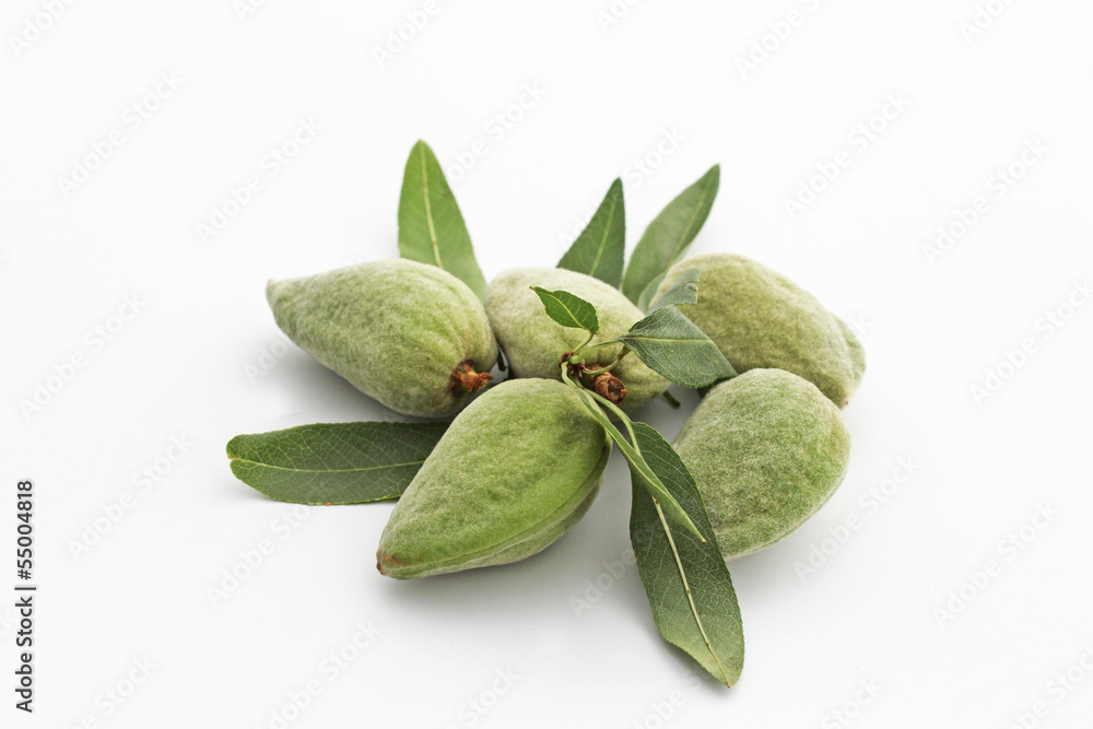 Fotografie Amandes fraîches