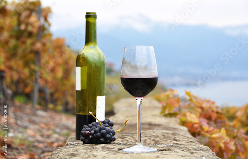 Glass of red wine on the terrace vineyard in Lavaux region, Swit
