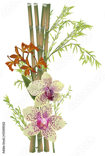 Fototapeta Naklejka Na Ścianę i Meble -  yellow spotted orchids and green bamboo