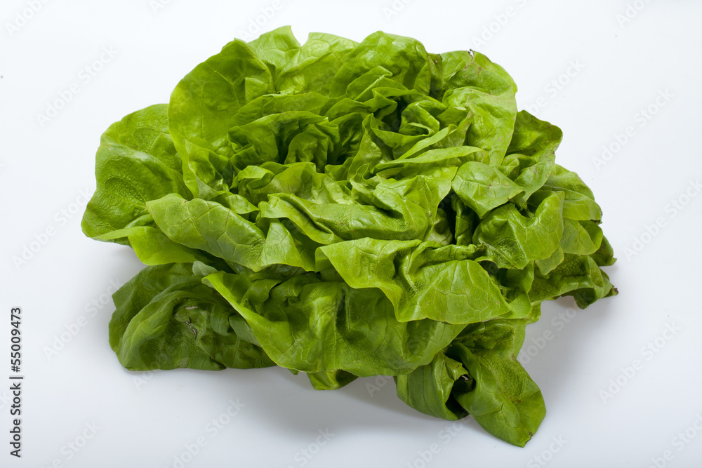Fresh green Lettuce salad isolated on white background Fresh green Lettuce salad isolated on white background