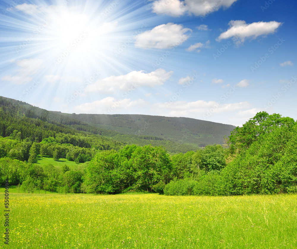 Fototapeta premium national park Sumava - Czech Republic