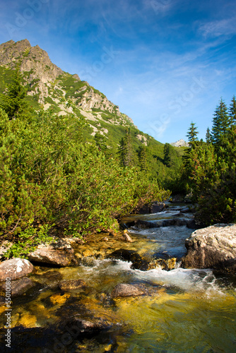 Mountain river in High Tatras in Slovakia