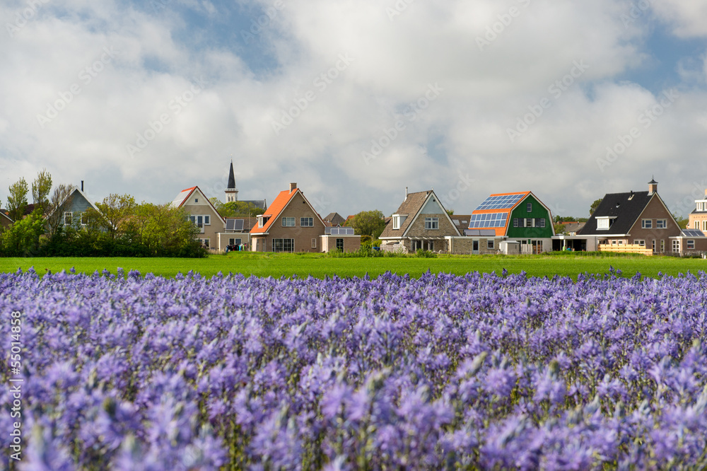Obraz Village Den Hoorn at Dutch Texel