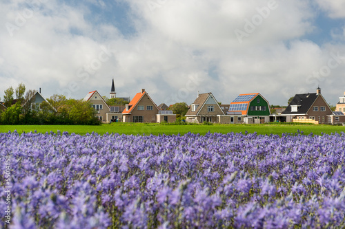 Village Den Hoorn at Dutch Texel