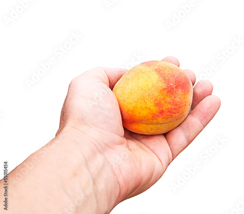 peach in a hand on a white background