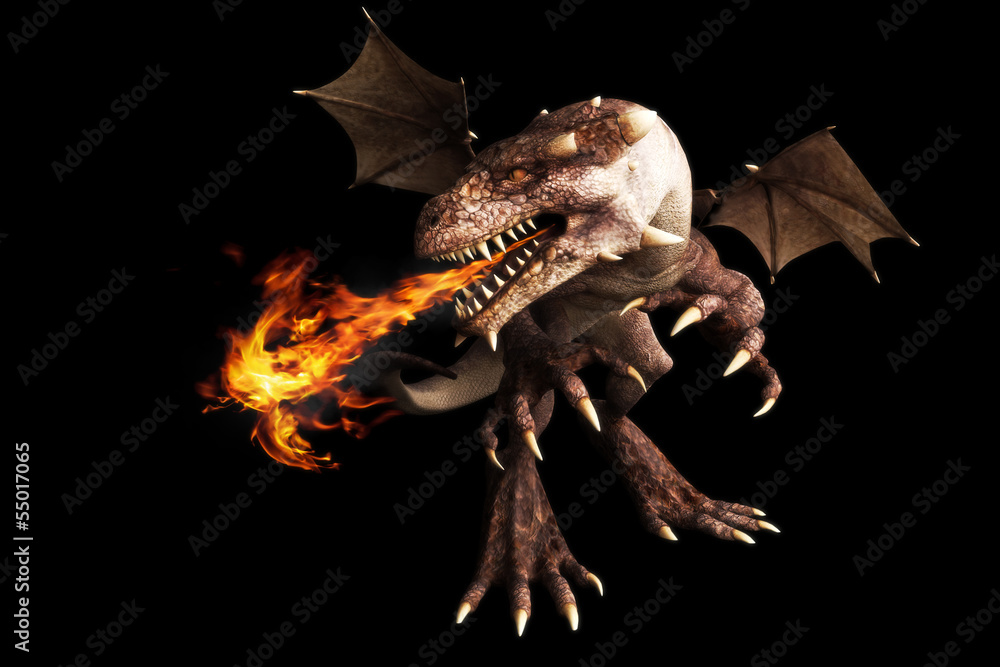 Fototapeta premium Fire breathing dragon on a black background