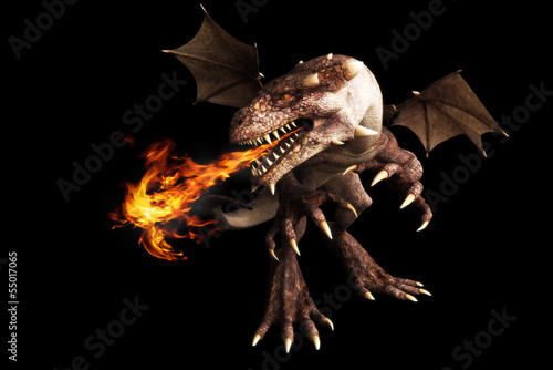Fire breathing dragon on a black background