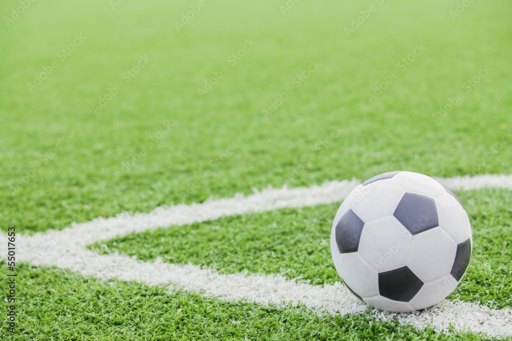 Fototapeta premium Soccer football