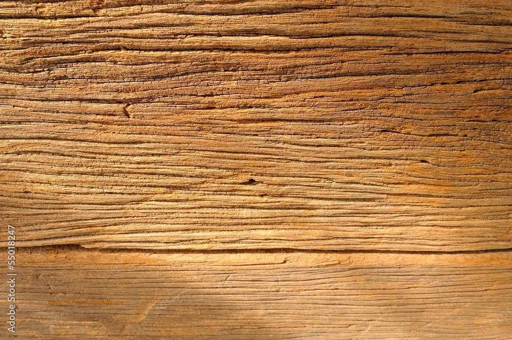 Fototapeta premium old wood texture